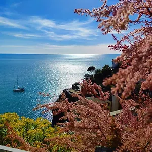 https://maison-exotique-riomaggiore-cinque-terre-beach-travel.hotelitalianriviera.com
